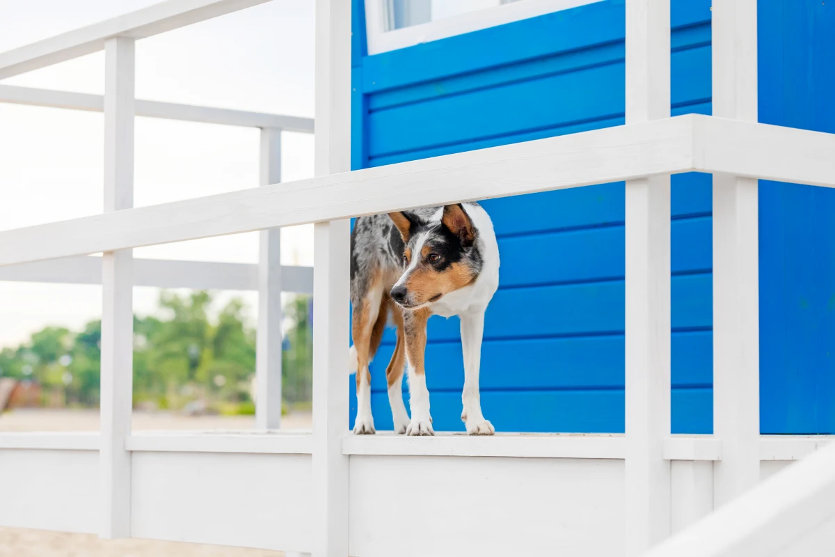Pourquoi Choisir une Néo-Agence pour la Vente de Votre Bien Immobilier ?